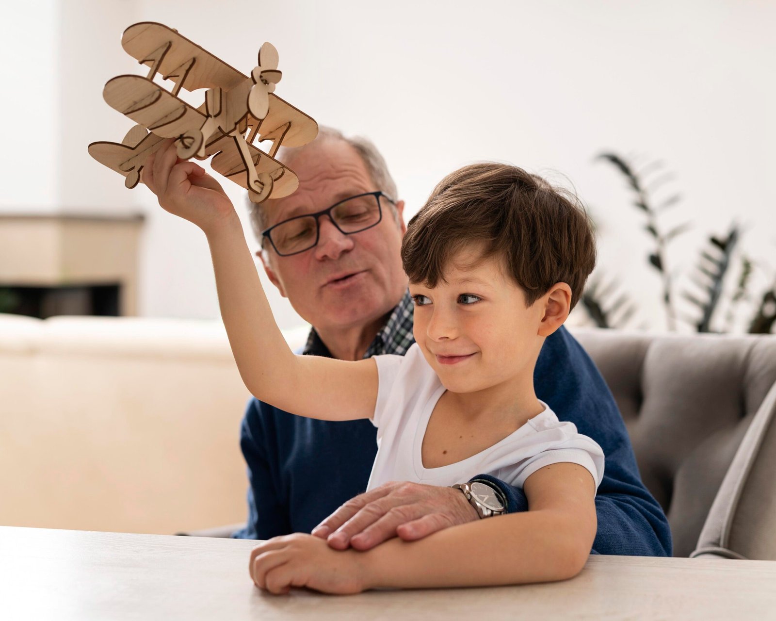 Cognition from Childhood to Ageing: Brain Changes