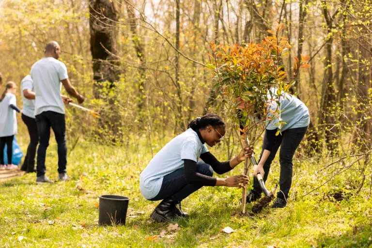 Planting Hope: How Trees Nurture Health, Communities, and the Planet 